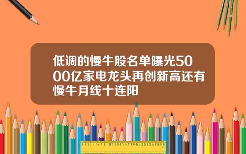 低调的慢牛股名单曝光5000亿家电龙头再创新高还有慢牛月线十连阳