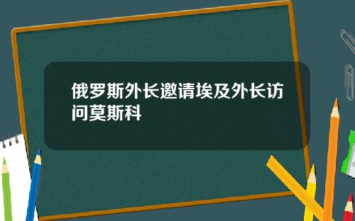 俄罗斯外长邀请埃及外长访问莫斯科
