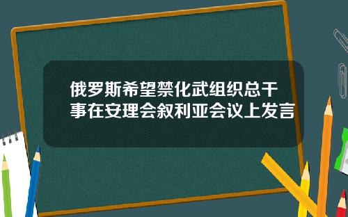 俄罗斯希望禁化武组织总干事在安理会叙利亚会议上发言
