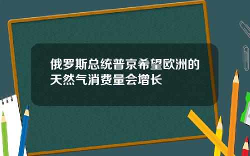 俄罗斯总统普京希望欧洲的天然气消费量会增长