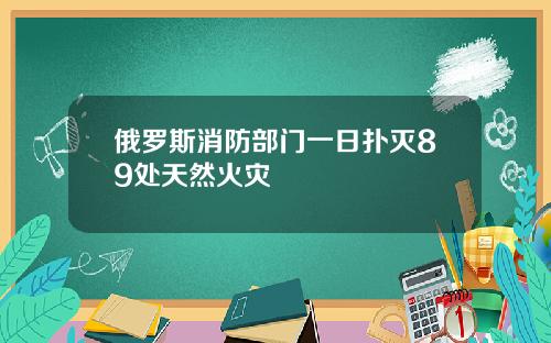 俄罗斯消防部门一日扑灭89处天然火灾