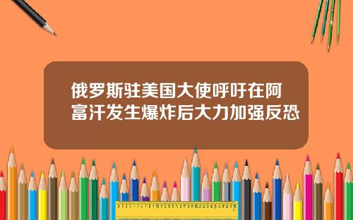俄罗斯驻美国大使呼吁在阿富汗发生爆炸后大力加强反恐