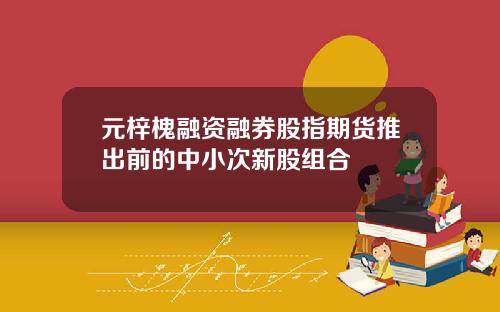 元梓槐融资融券股指期货推出前的中小次新股组合