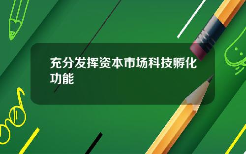 充分发挥资本市场科技孵化功能