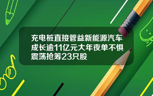 充电桩直接管益新能源汽车成长逾11亿元大年夜单不惧震荡抢筹23只股