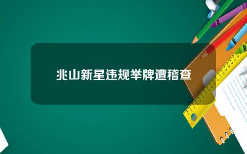 兆山新星违规举牌遭稽查