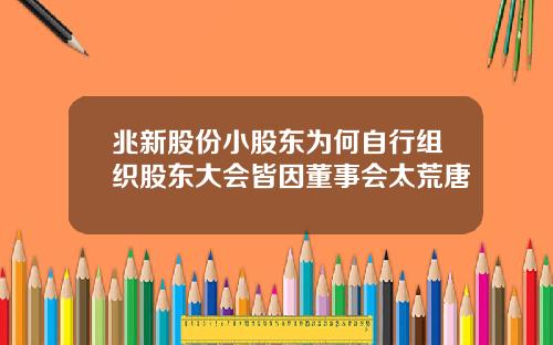 兆新股份小股东为何自行组织股东大会皆因董事会太荒唐