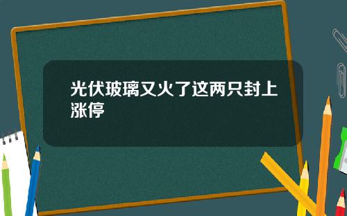 光伏玻璃又火了这两只封上涨停