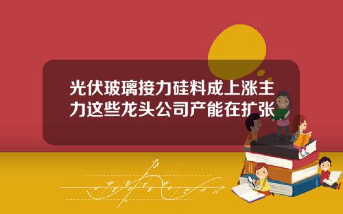 光伏玻璃接力硅料成上涨主力这些龙头公司产能在扩张