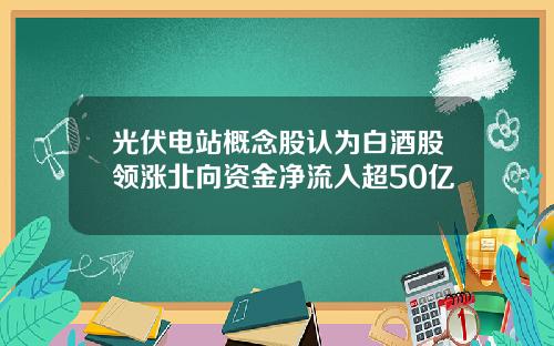 光伏电站概念股认为白酒股领涨北向资金净流入超50亿