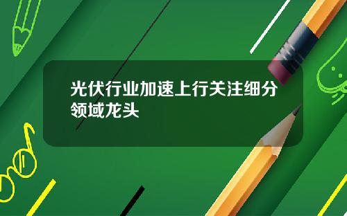 光伏行业加速上行关注细分领域龙头