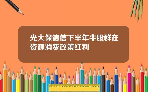 光大保德信下半年牛股群在资源消费政策红利
