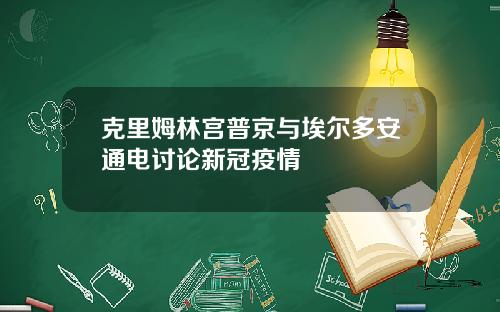 克里姆林宫普京与埃尔多安通电讨论新冠疫情