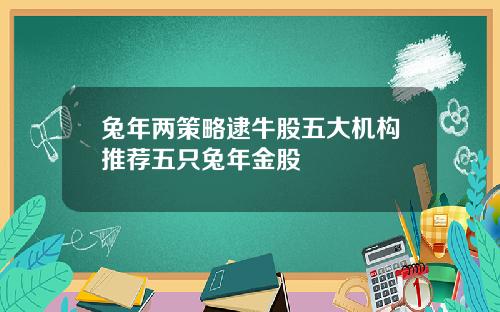 兔年两策略逮牛股五大机构推荐五只兔年金股
