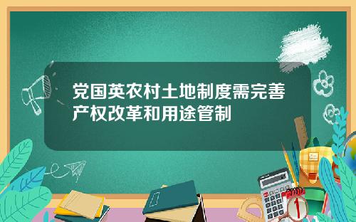 党国英农村土地制度需完善产权改革和用途管制