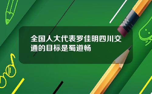 全国人大代表罗佳明四川交通的目标是蜀道畅