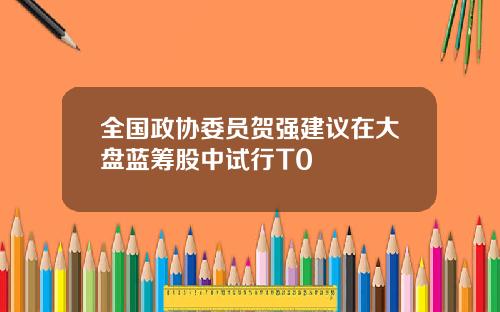 全国政协委员贺强建议在大盘蓝筹股中试行T0