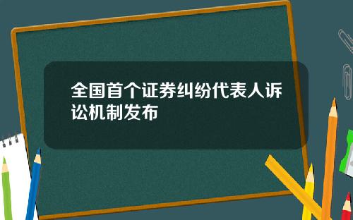 全国首个证券纠纷代表人诉讼机制发布