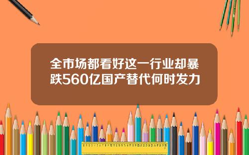 全市场都看好这一行业却暴跌560亿国产替代何时发力