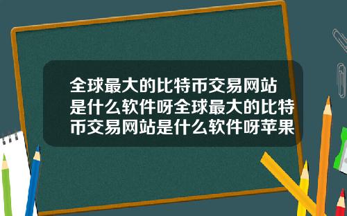 全球最大的比特币交易网站是什么软件呀全球最大的比特币交易网站是什么软件呀苹果