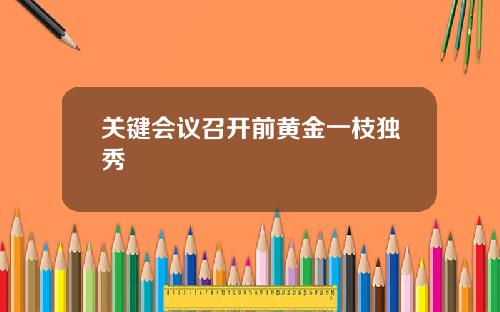 关键会议召开前黄金一枝独秀