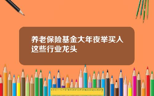 养老保险基金大年夜举买入这些行业龙头