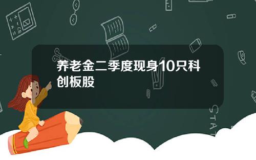 养老金二季度现身10只科创板股