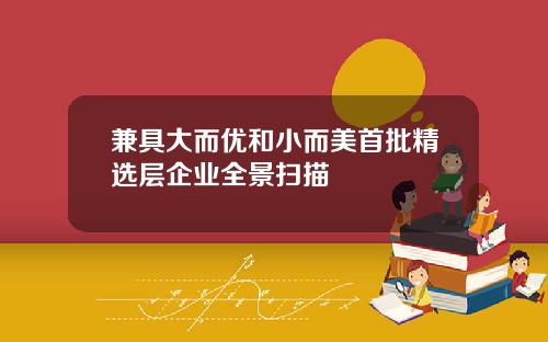 兼具大而优和小而美首批精选层企业全景扫描