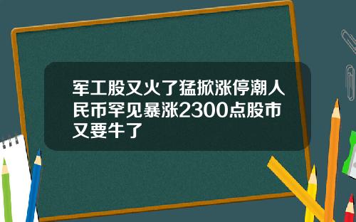 军工股又火了猛掀涨停潮人民币罕见暴涨2300点股市又要牛了