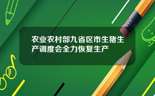 农业农村部九省区市生猪生产调度会全力恢复生产