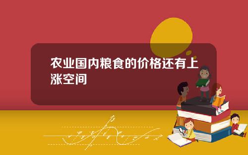 农业国内粮食的价格还有上涨空间