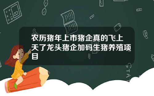 农历猪年上市猪企真的飞上天了龙头猪企加码生猪养殖项目