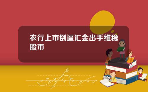 农行上市倒逼汇金出手维稳股市
