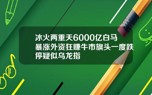 冰火两重天6000亿白马暴涨外资狂赚牛市旗头一度跌停疑似乌龙指