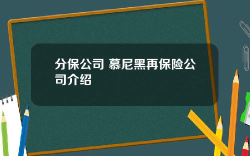 分保公司 慕尼黑再保险公司介绍
