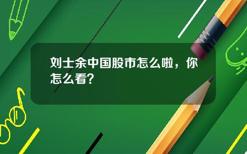 刘士余中国股市怎么啦,你怎么看?