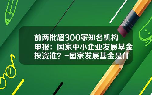 前两批超300家知名机构申报：国家中小企业发展基金投资谁？-国家发展基金是什么