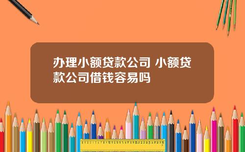 办理小额贷款公司 小额贷款公司借钱容易吗