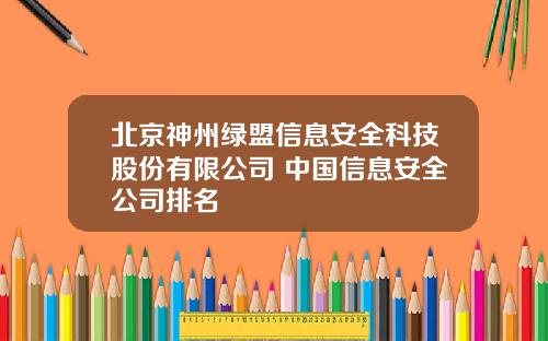 北京神州绿盟信息安全科技股份有限公司 中国信息安全公司排名
