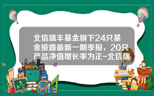 北信瑞丰基金旗下24只基金披露最新一期季报，20只产品净值增长率为正-北信瑞丰基金