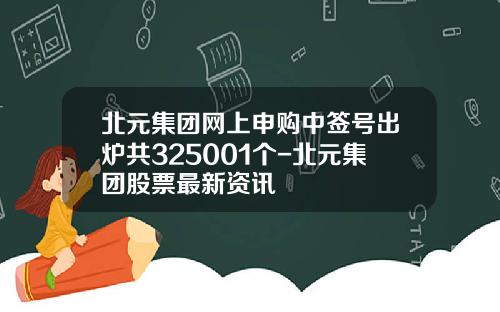 北元集团网上申购中签号出炉共325001个-北元集团股票最新资讯