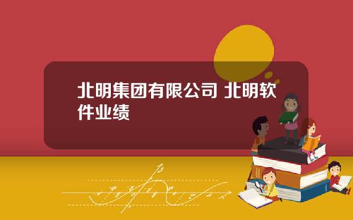北明集团有限公司 北明软件业绩