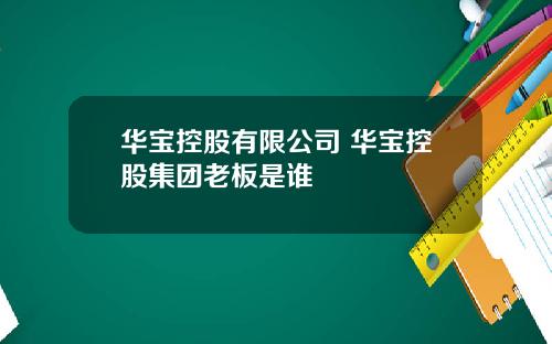 华宝控股有限公司 华宝控股集团老板是谁