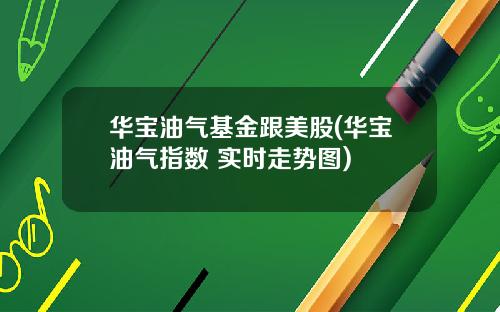 华宝油气基金跟美股(华宝油气指数 实时走势图)