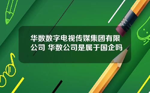 华数数字电视传媒集团有限公司 华数公司是属于国企吗
