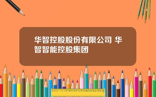华智控股股份有限公司 华智智能控股集团