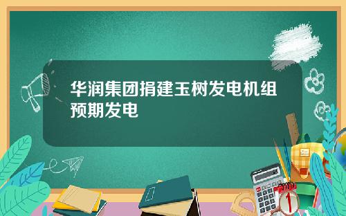 华润集团捐建玉树发电机组预期发电