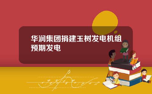 华润集团捐建玉树发电机组预期发电