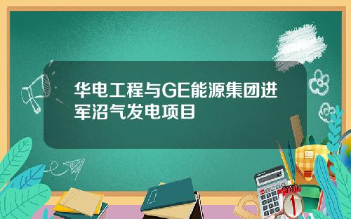 华电工程与GE能源集团进军沼气发电项目
