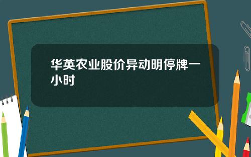 华英农业股价异动明停牌一小时